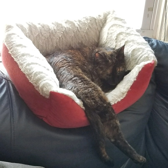 Meet your Posher, E - Picture 1 of 1